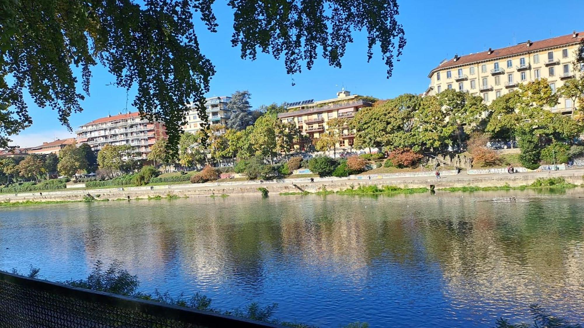 La Terrazzina, Silenzioso, Zona Piazza Gran Madre Apartman Torino Kültér fotó