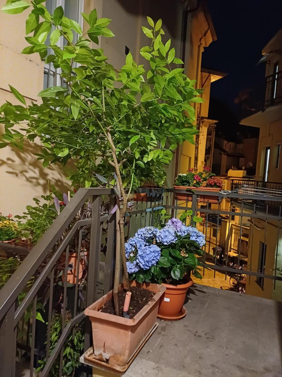 La Terrazzina, Silenzioso, Zona Piazza Gran Madre Apartman Torino Kültér fotó